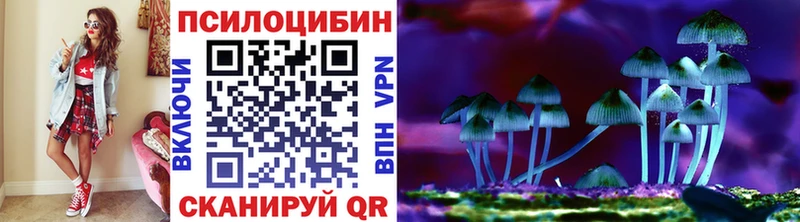 Галлюциногенные грибы мицелий  Купить закладки  Советск 