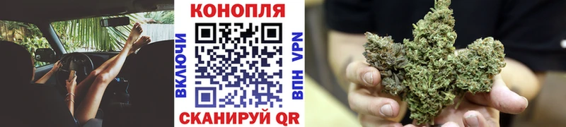 Купить где  Советск  Конопля план 